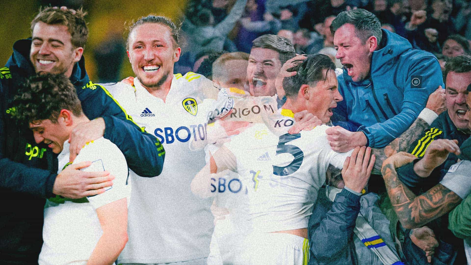 What the kids are calling 'scenes' from the end of Leeds vs Wolves, with big Bill Ayling in the thick of it