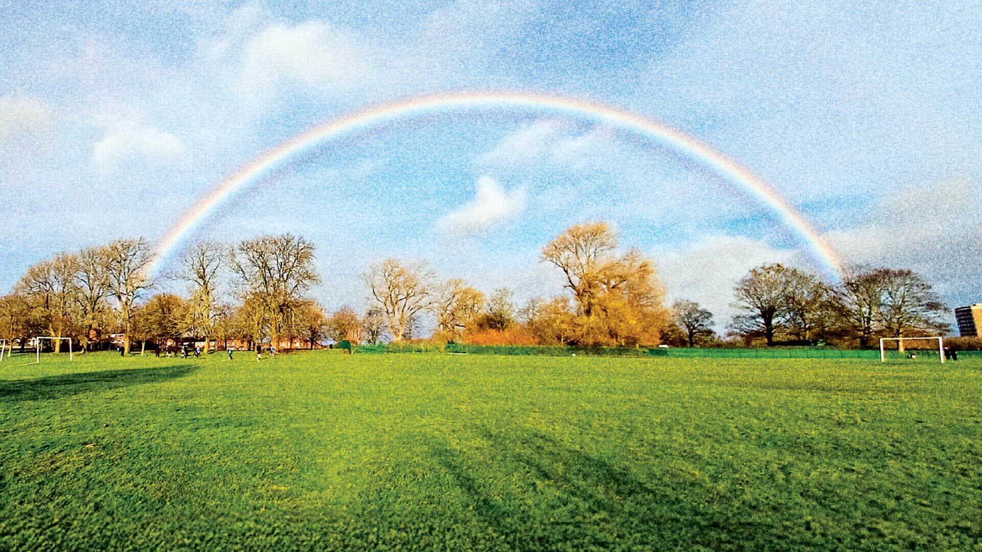 The cover image of Jon Howe's debut novel Days of Treacle, featuring a photograph of an empty field with a rainbow shimmering over it in a perfect arc